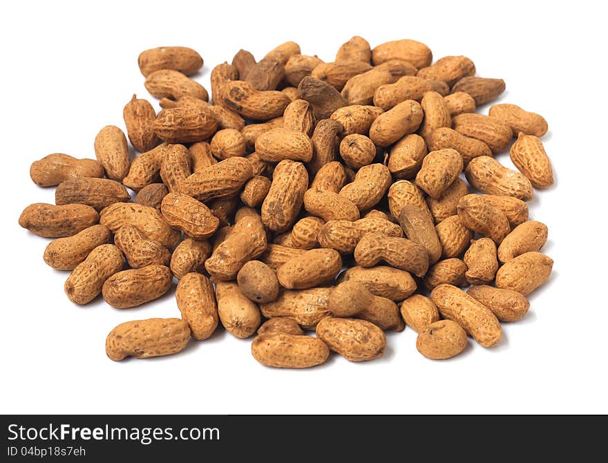 Related peanut on  white background. Related peanut on  white background