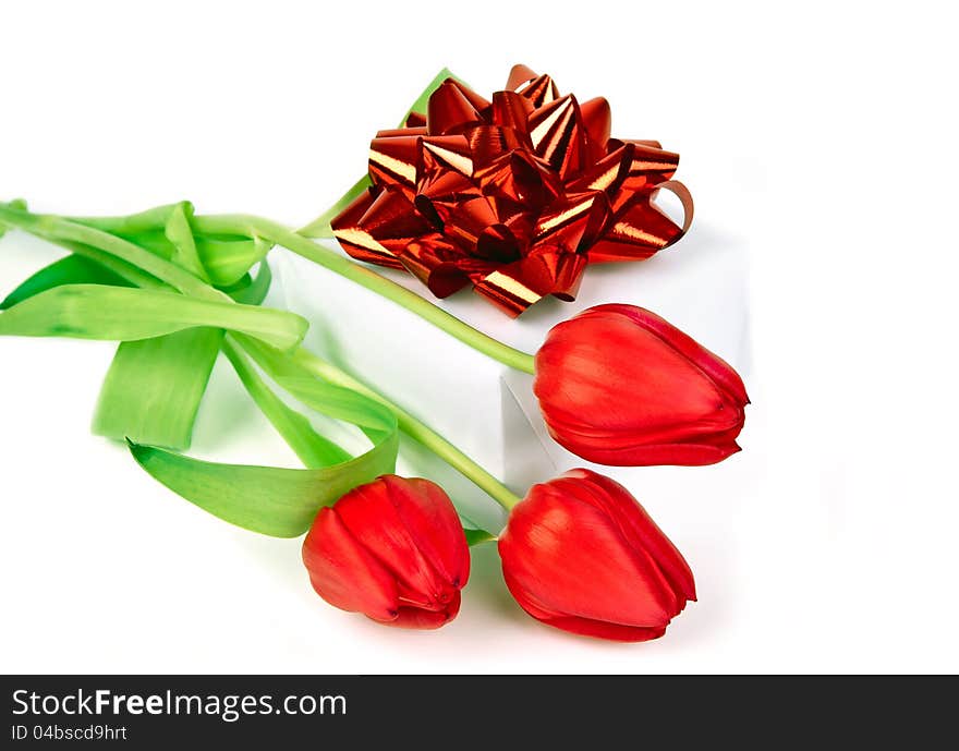 Tulips and gift box on a white background