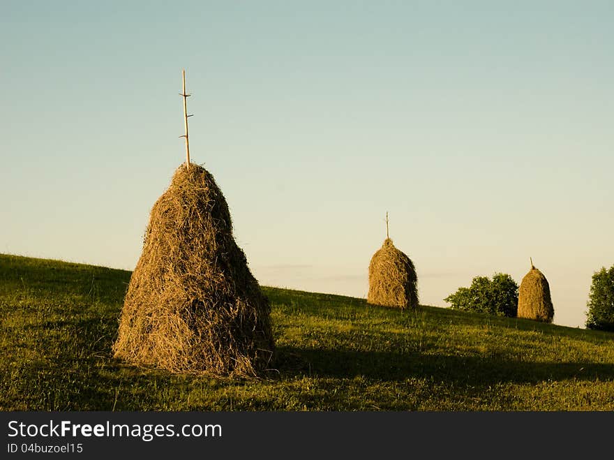 Some pile of hay during the autumn season. Some pile of hay during the autumn season