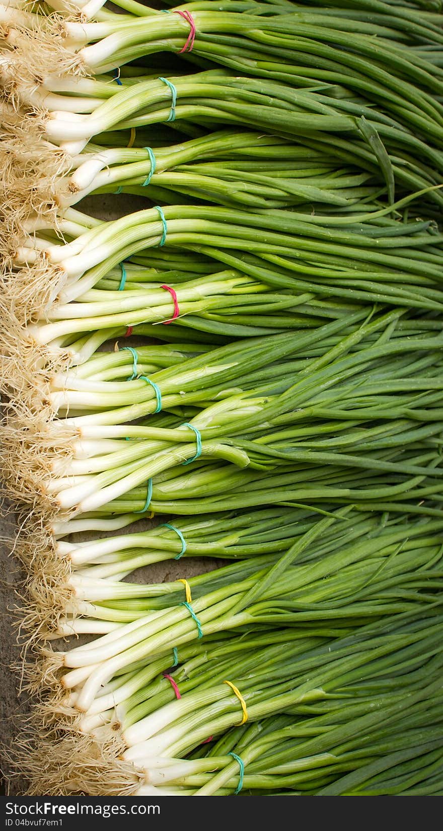 Fresh organic onion on market stalls