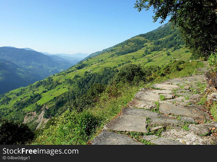 Beautiful himalayan forest landscape, trek to Annapurna Base Camp in Nepal