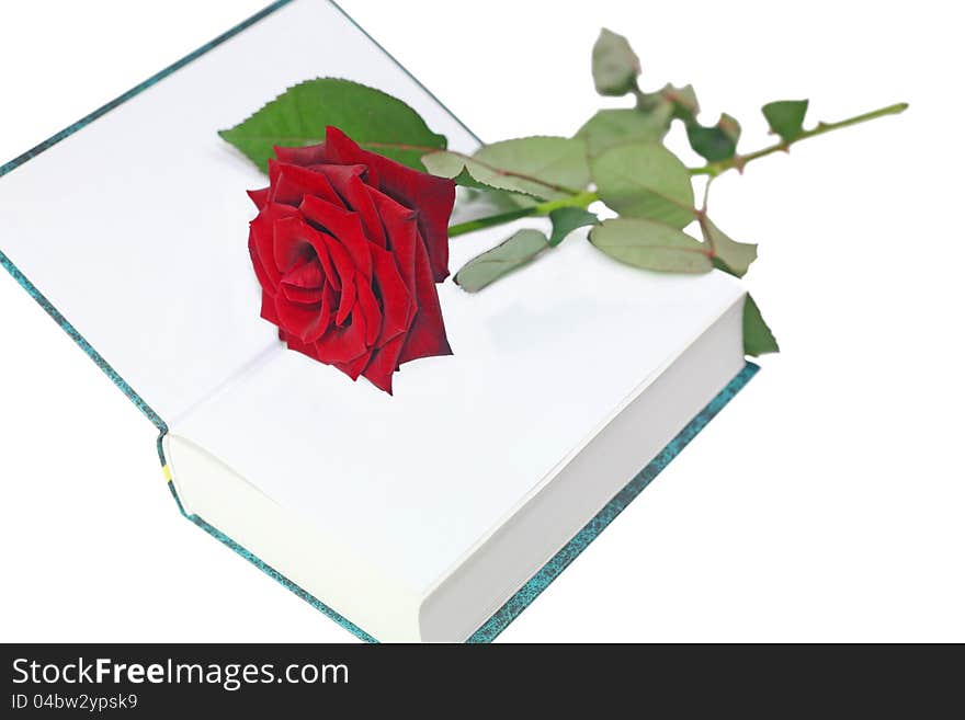 Rose With A Book