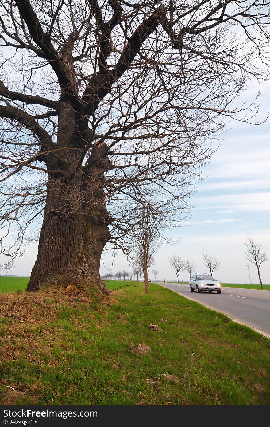 Driving Car On The Country Road