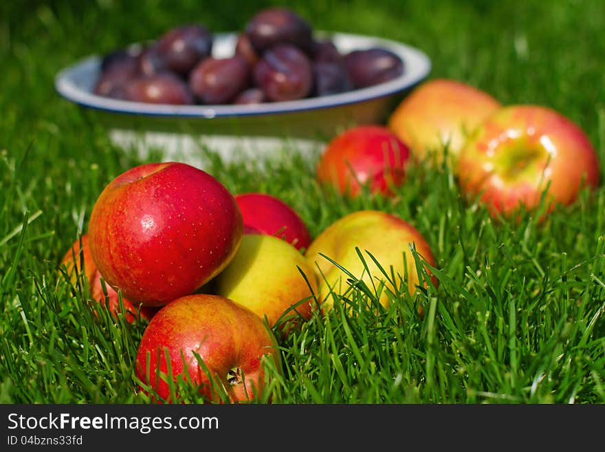 A bulk of apples lies on the lawn and behind is a bowl with plums. A bulk of apples lies on the lawn and behind is a bowl with plums