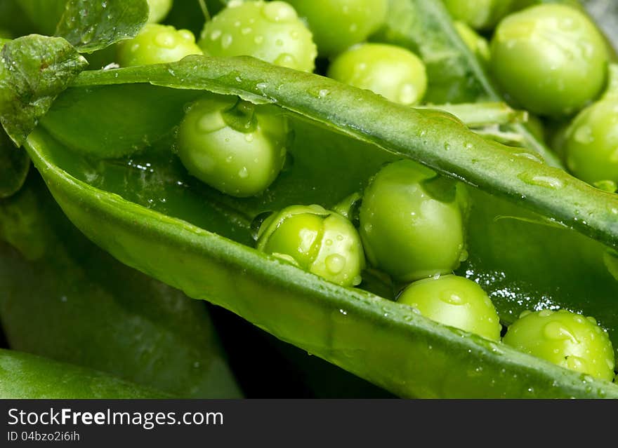 A macro shot of fresh peas