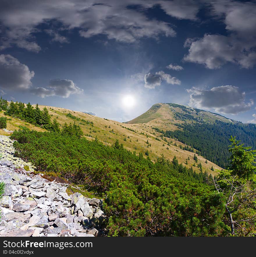 Summer landscape in the mountains