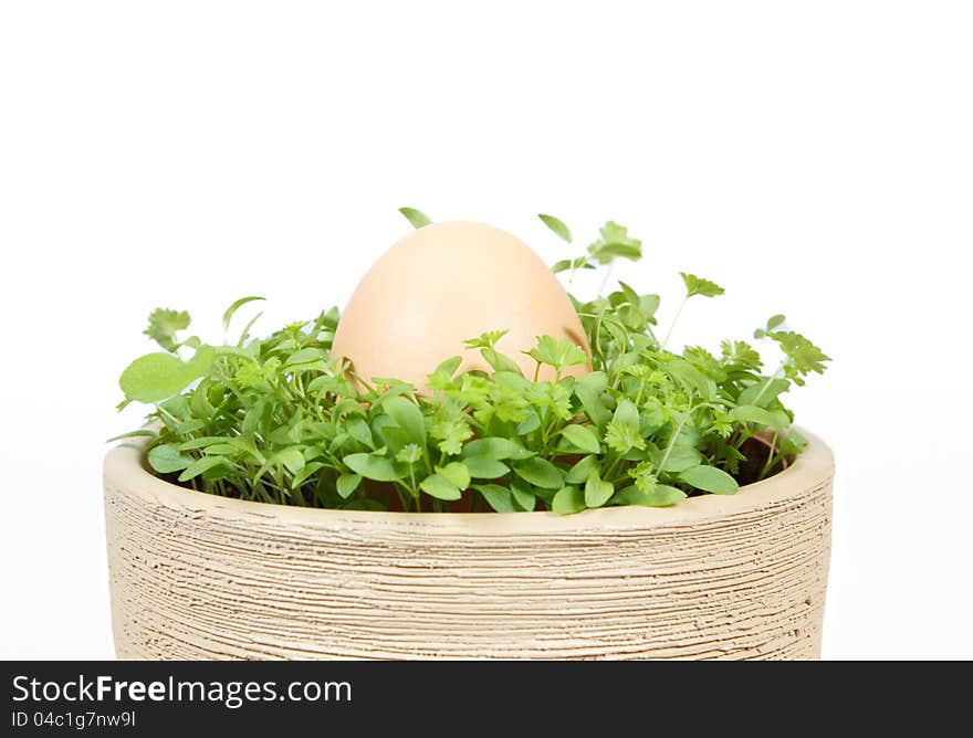 Spring vegetable with egg in ceramic pot