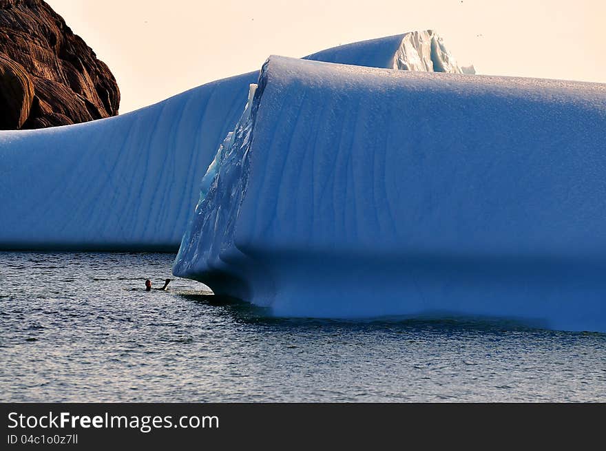 Icebergs in Newfoundland are like a social event such as this one near Quidi Vidi Newfoundland. Professional daredevils such as this individual will swim out to them and some will even climb them. Notice how the individual is dwarfed by the massive size of the iceberg. Icebergs in Newfoundland are like a social event such as this one near Quidi Vidi Newfoundland. Professional daredevils such as this individual will swim out to them and some will even climb them. Notice how the individual is dwarfed by the massive size of the iceberg.