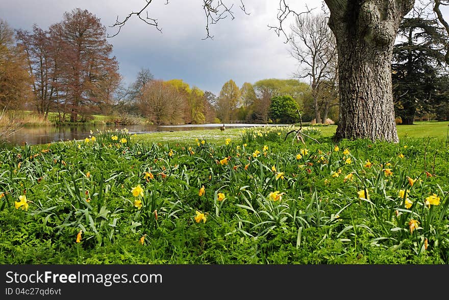 Arrival of Spring in an English Park