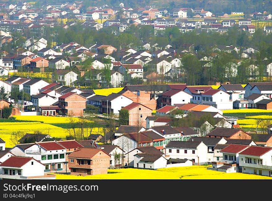 The new building village, a row of neat farm houses and flower field, in hanzhong, shanxi, China. The new building village, a row of neat farm houses and flower field, in hanzhong, shanxi, China.