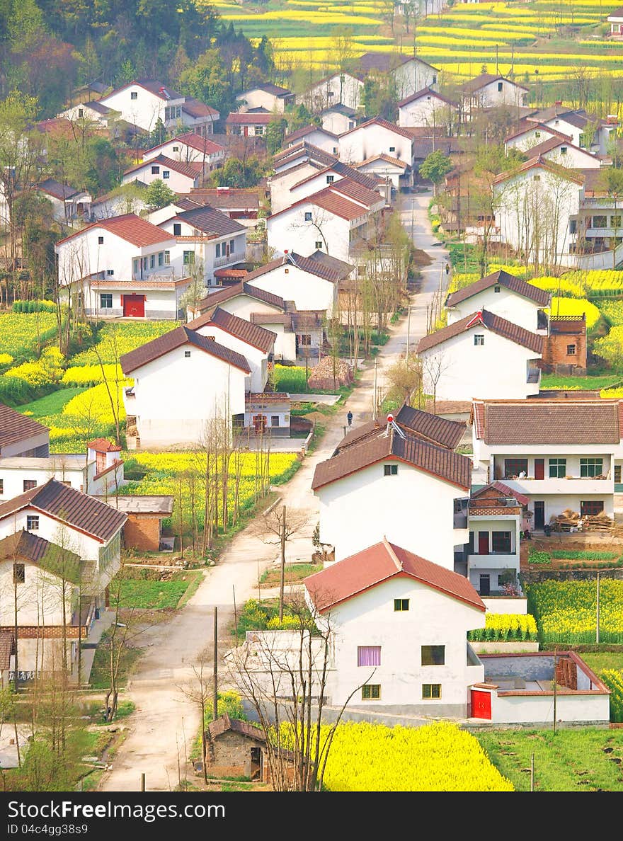 The new building village, on both sides of the road farmhouse and flower field, in hanzhong, shanxi, China. The new building village, on both sides of the road farmhouse and flower field, in hanzhong, shanxi, China.