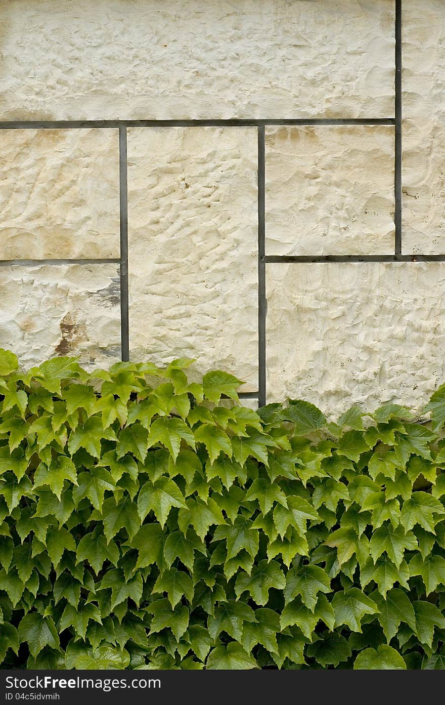 Stone Wall Dotted With Wine