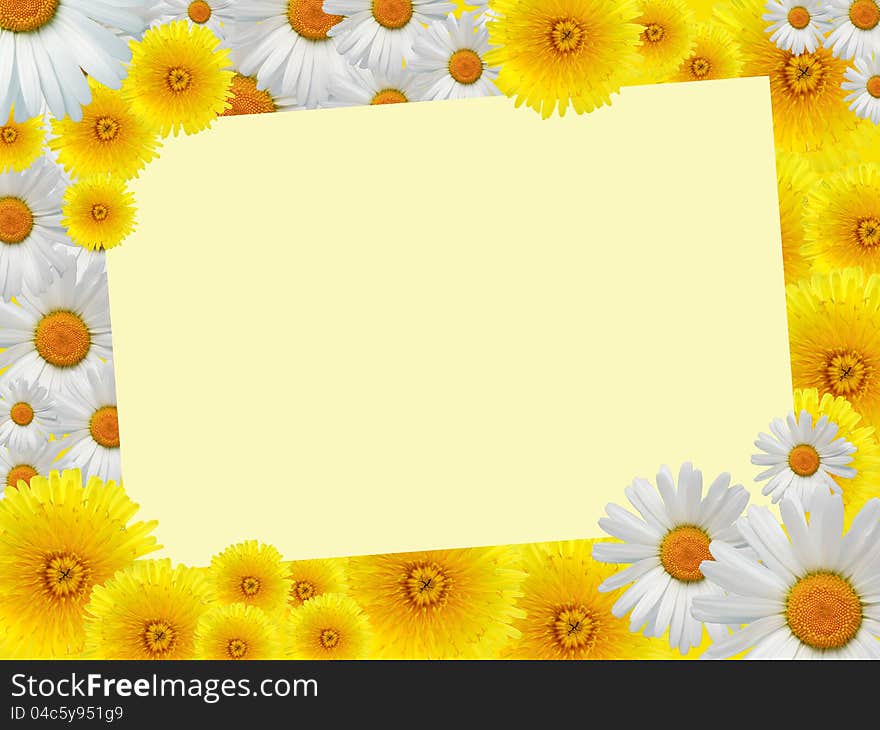 Flowers Greeting Card