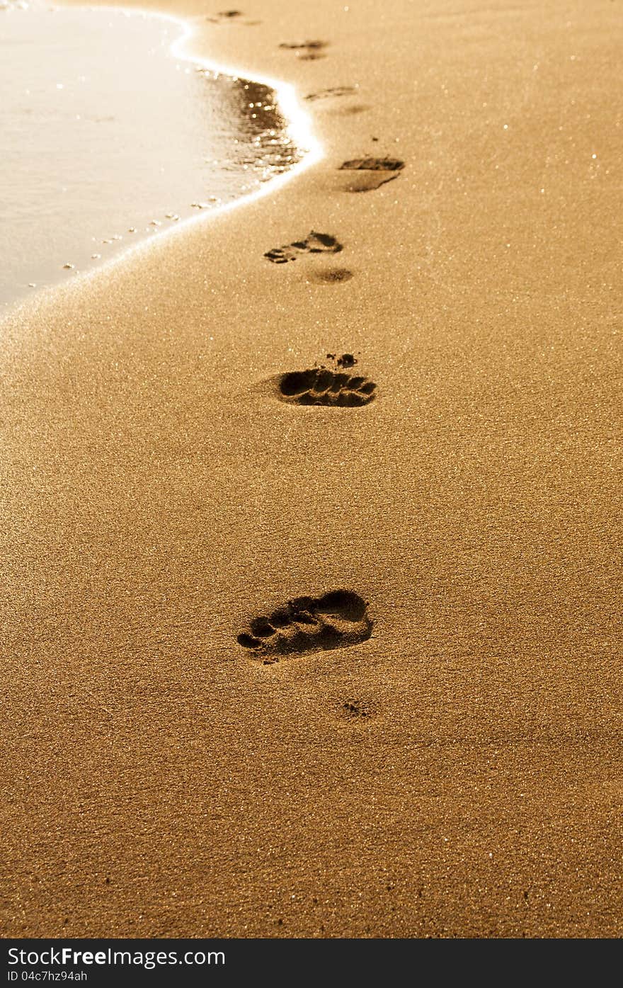 Footprints in wet sand of beach