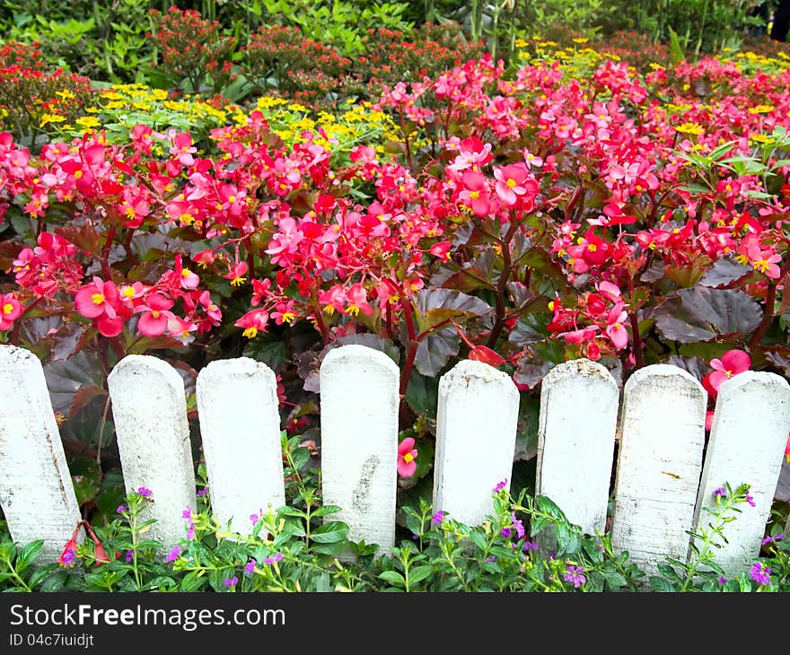 White Fence And Colorful Flowers.