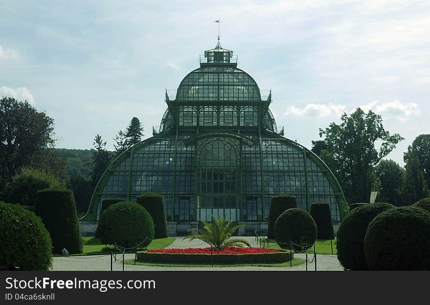 Glasshouse in Schonbrun.