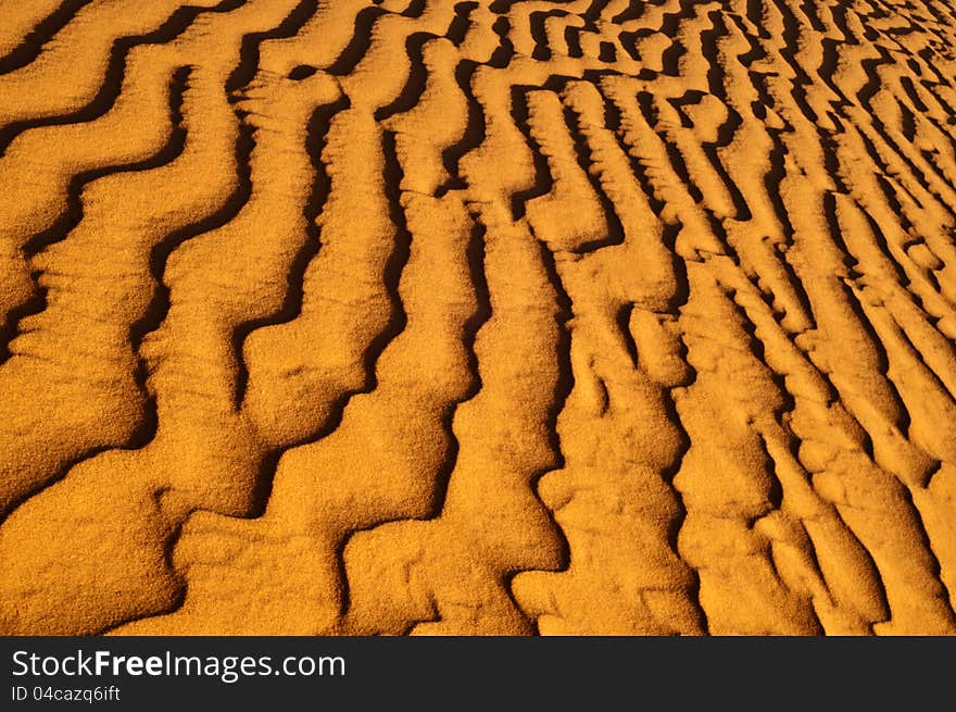 Sand wave of sahara dune