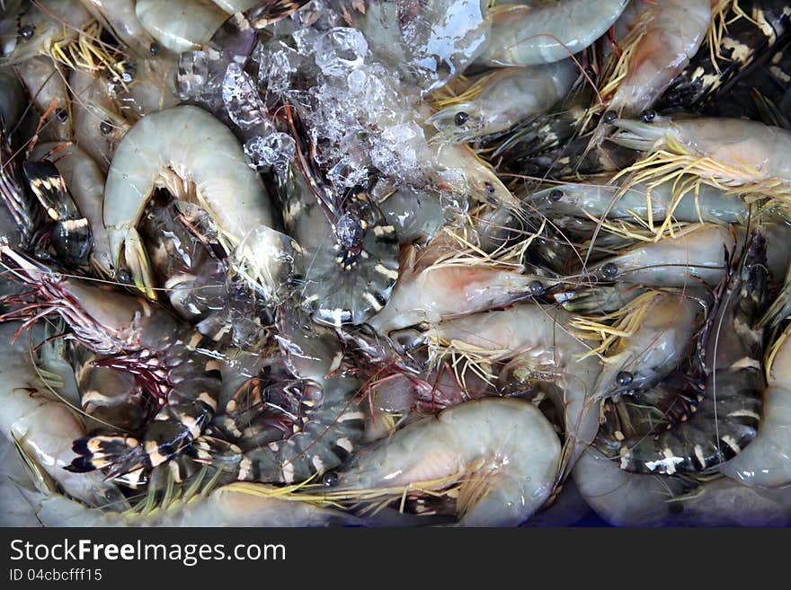 Raw shrimps close up using as Food background