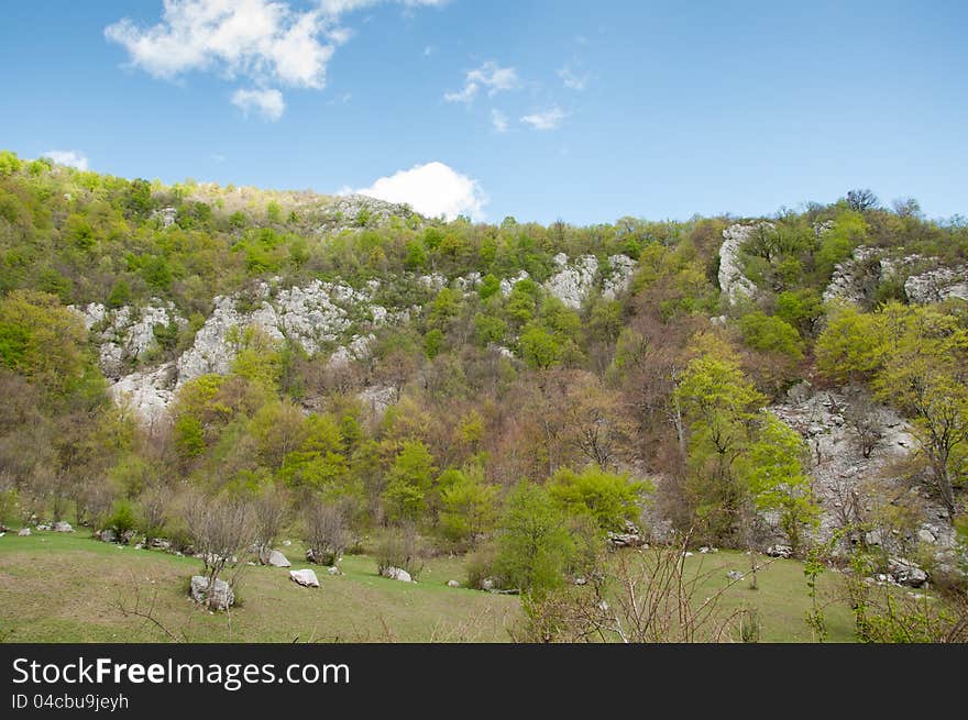 Lush green vegetation on rocky hillside