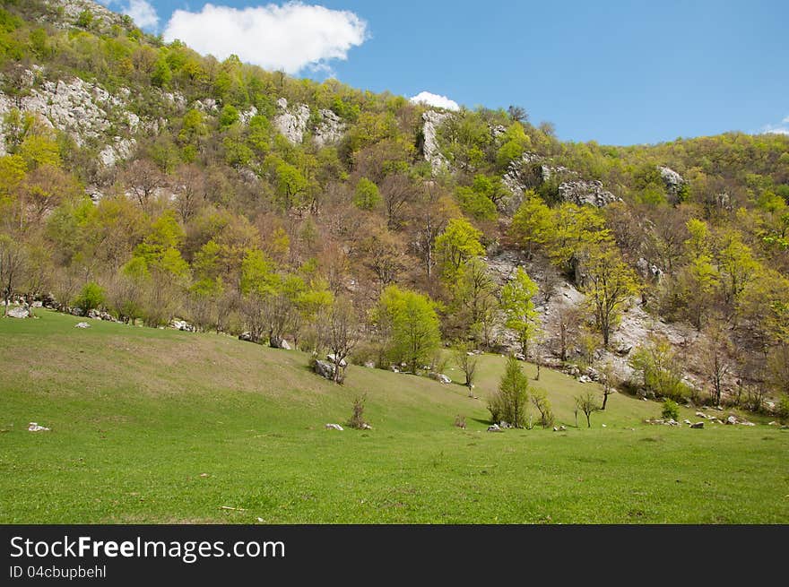 Lush vegetation on limestone mountain valley