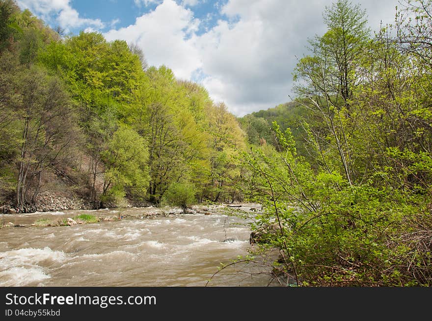 Raging river through green lush vegetation