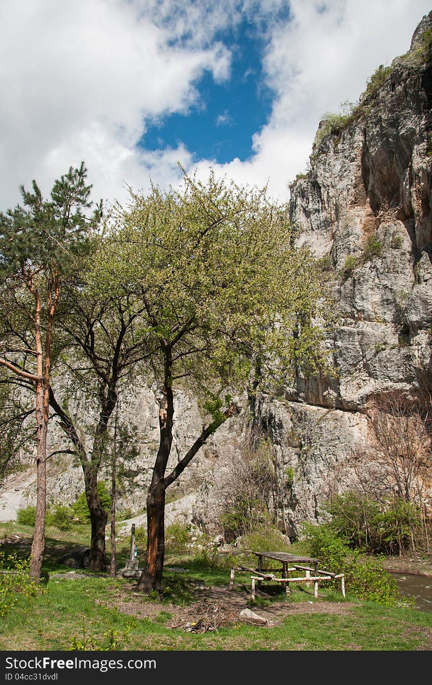 Vibrant nature in a protected natural area