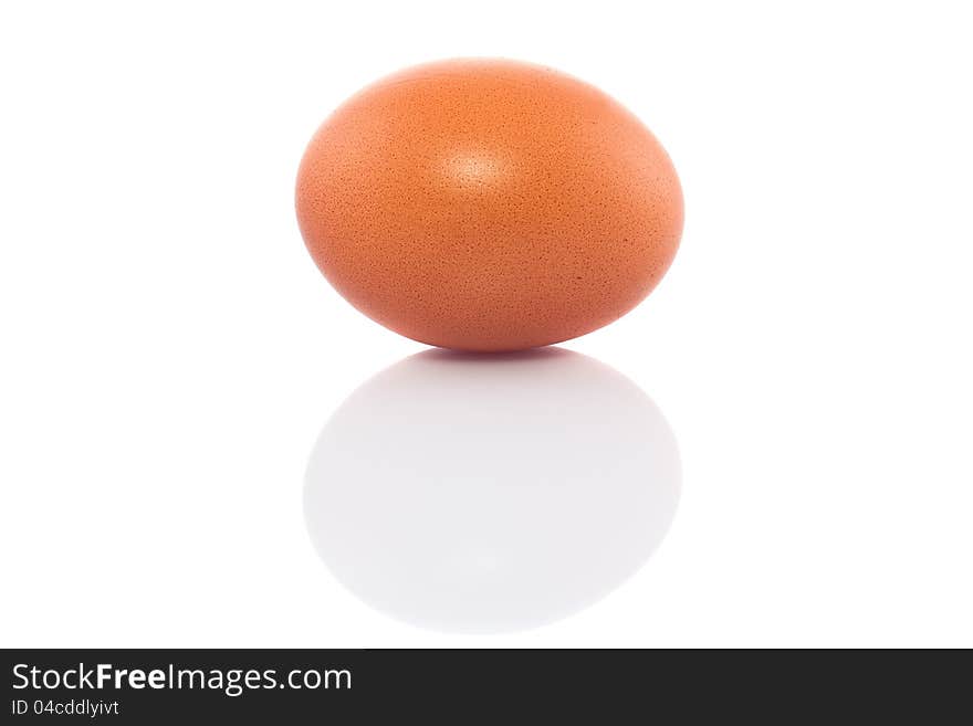 Egg  on a white background.