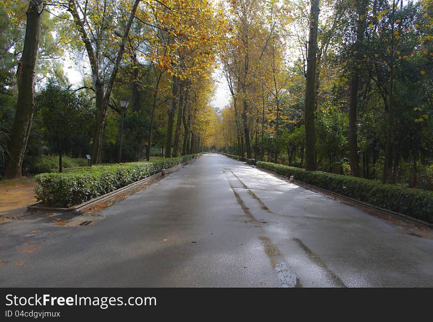 Autumn in seville