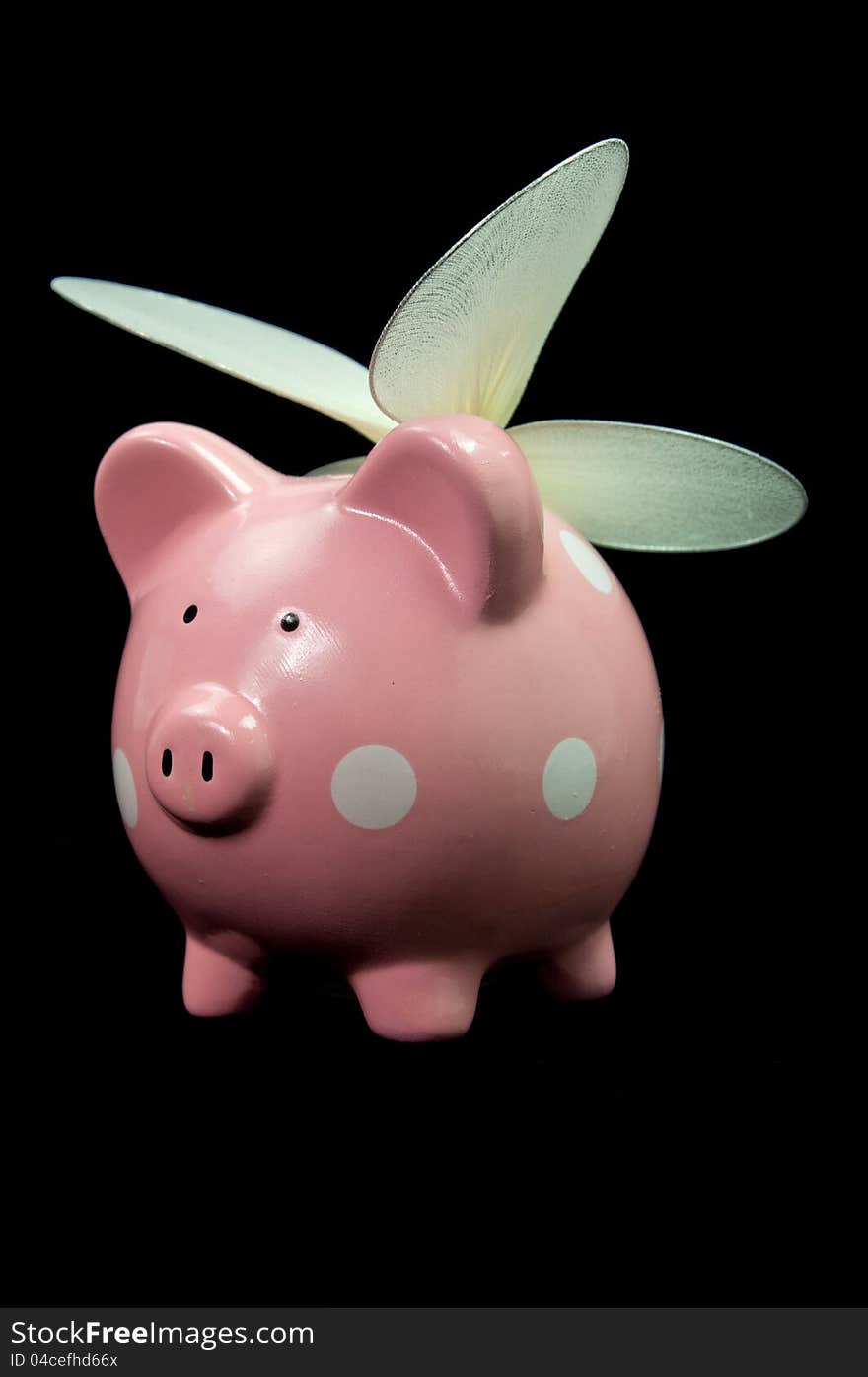 PInk piggy bank with wings on black background. PInk piggy bank with wings on black background