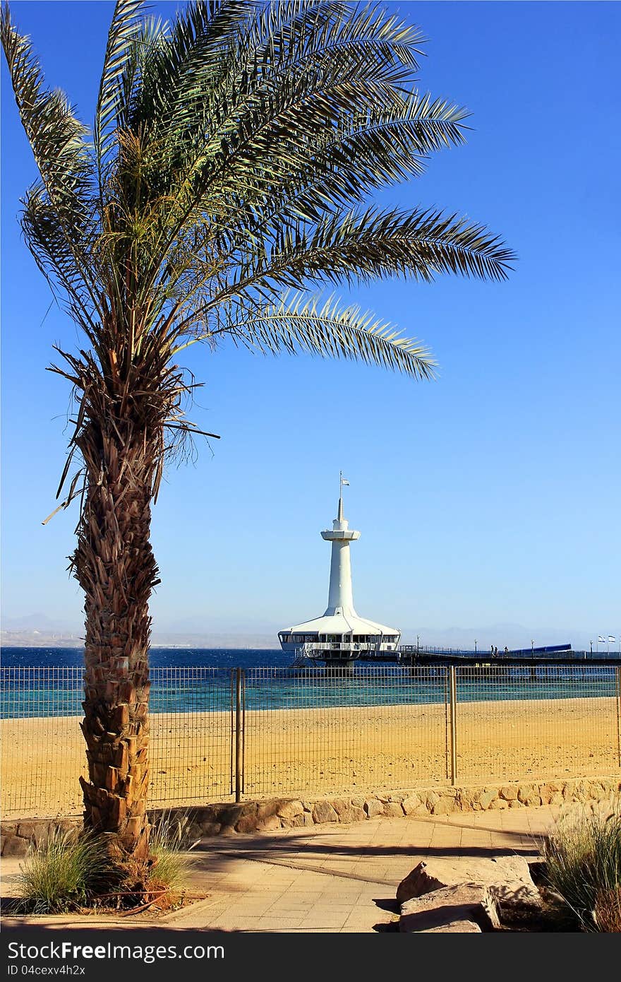 Underwater Observatory , Eilat