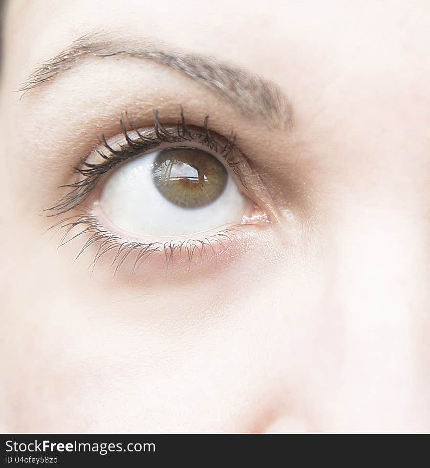 Eye of woman with natural makeup