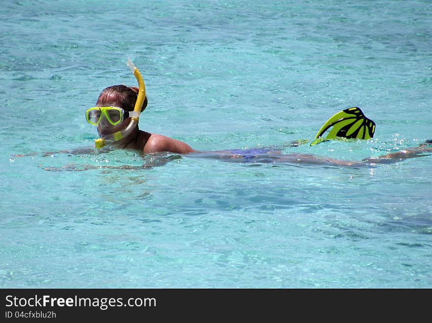 Snorking In The Water