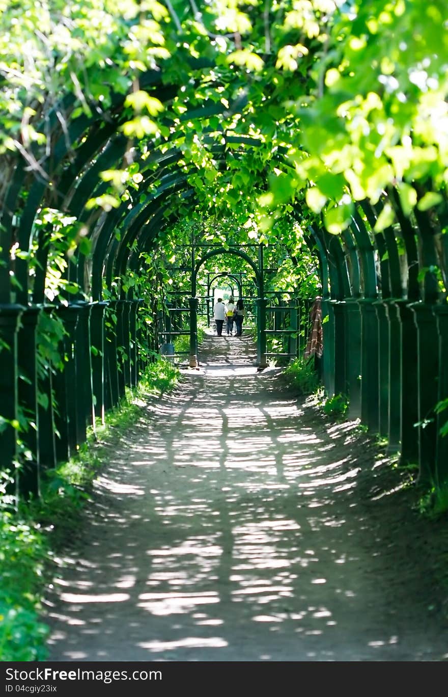 Arch into a park in summer