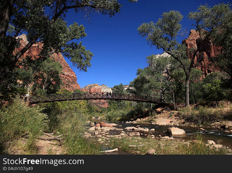 Bridge in Zion NP