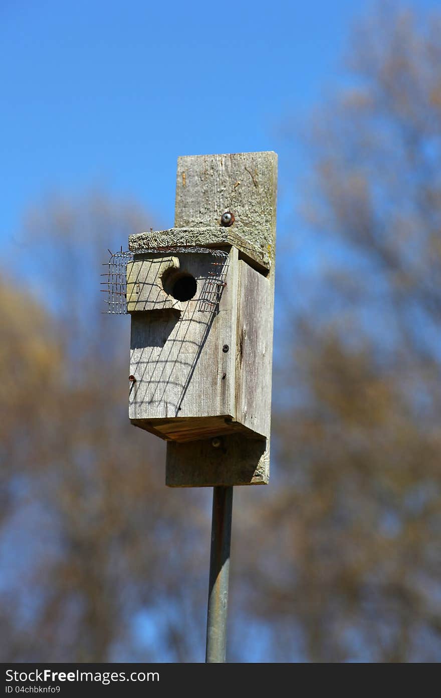 Single bird feeder in the park