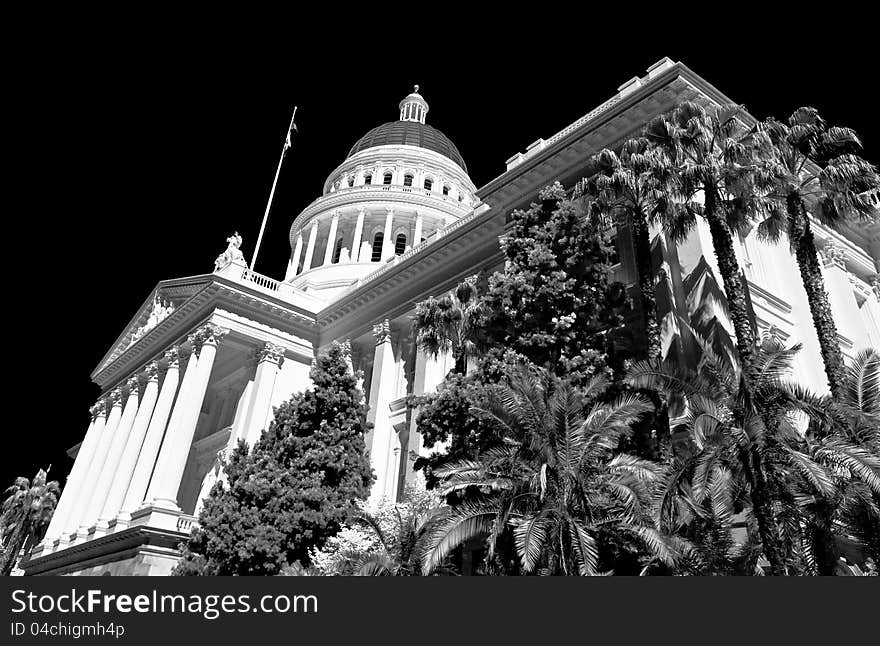 Palms trees over Capitol building