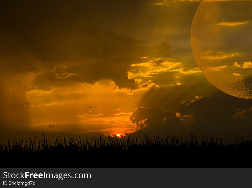 Sunset with a silhouette of grass and moon. Sunset with a silhouette of grass and moon