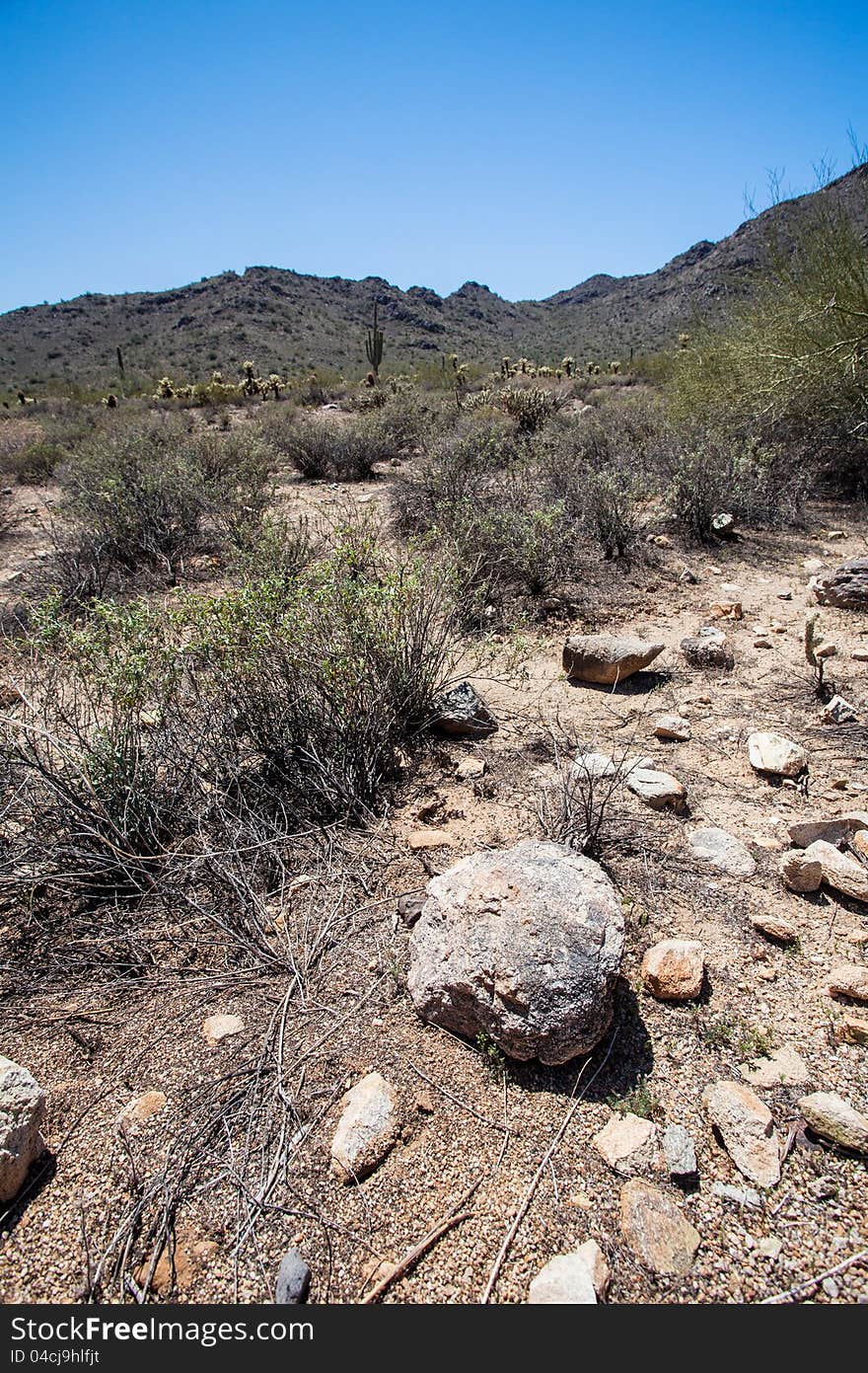 Arizona Desert Scenery