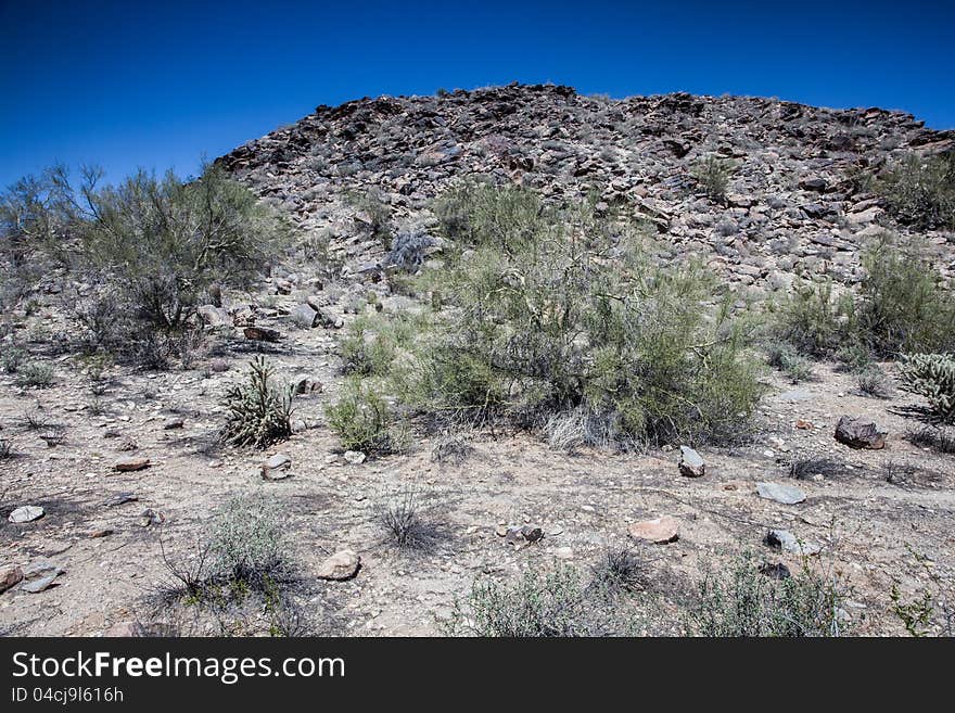 Arizona Desert Scenery