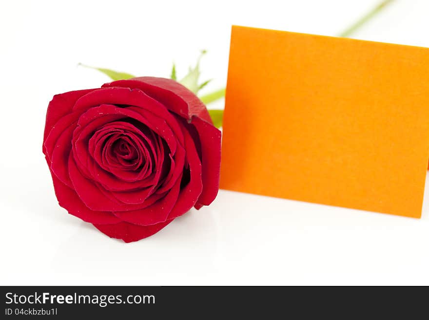 Red rose with a business card in orange