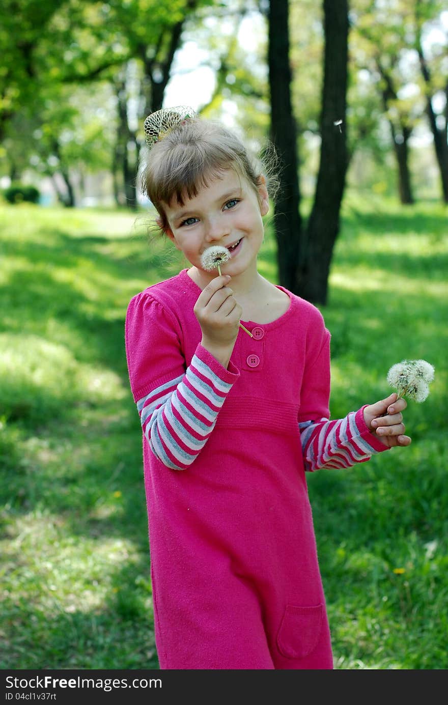 Little girl with dandelions