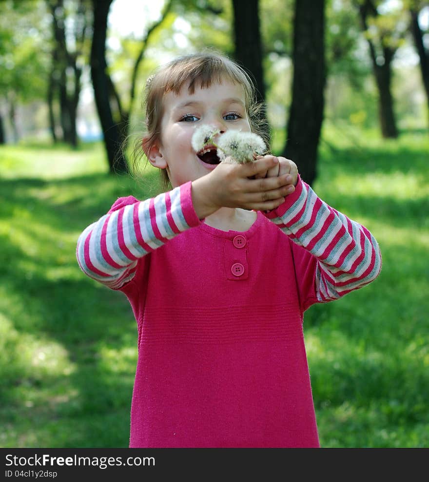 Happy little girl blows away dandelion fluff