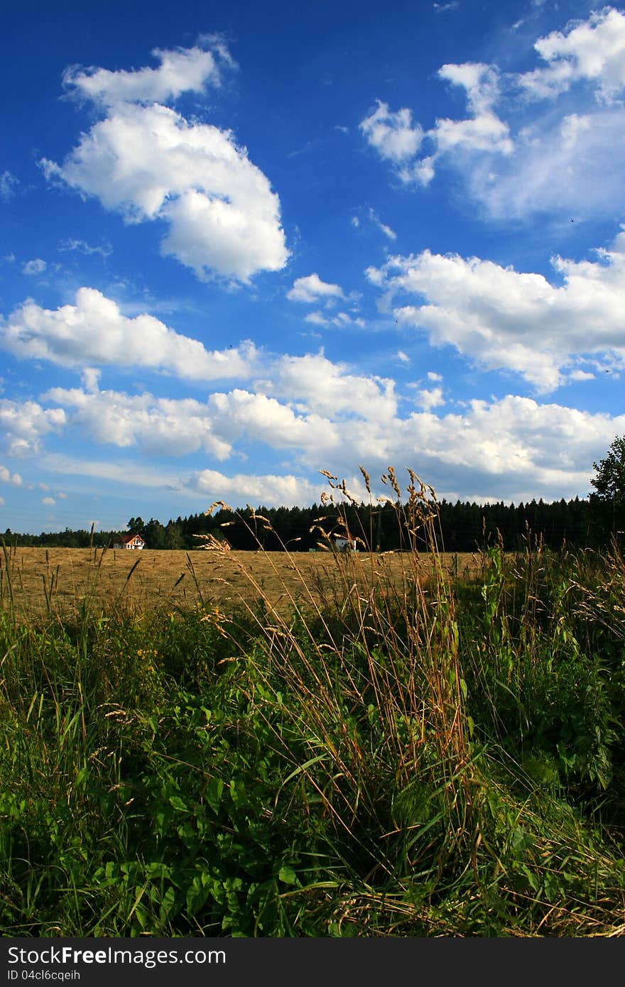 Landscapes with clouds and skies.