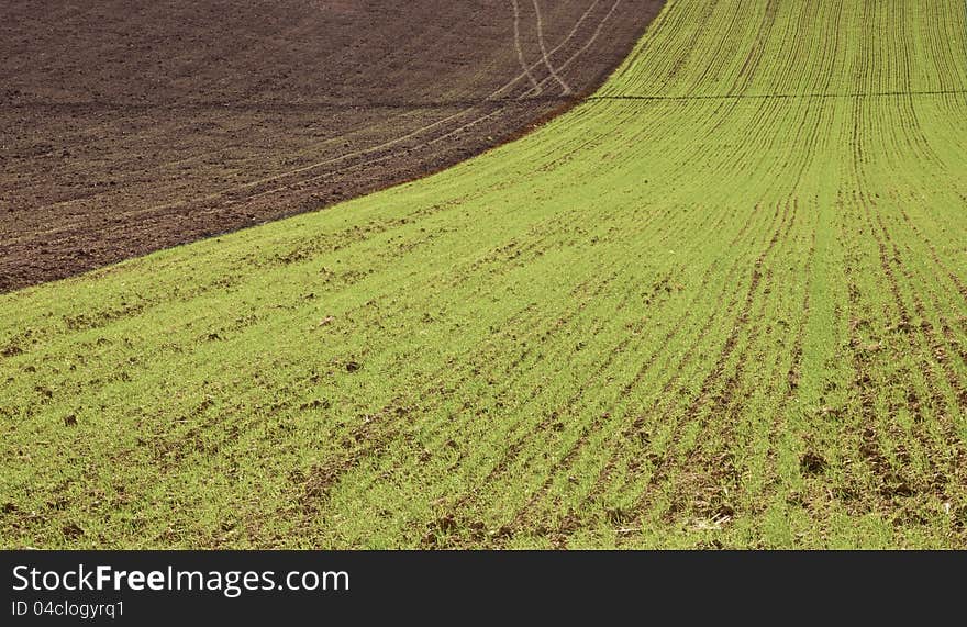 farm in val of Recanati, Italy