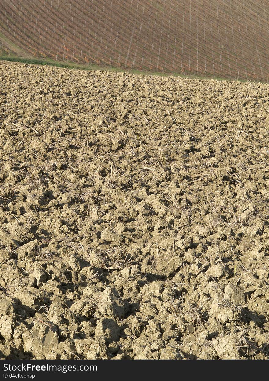 Agricultural land in val of Recanati. Marche region, Italy