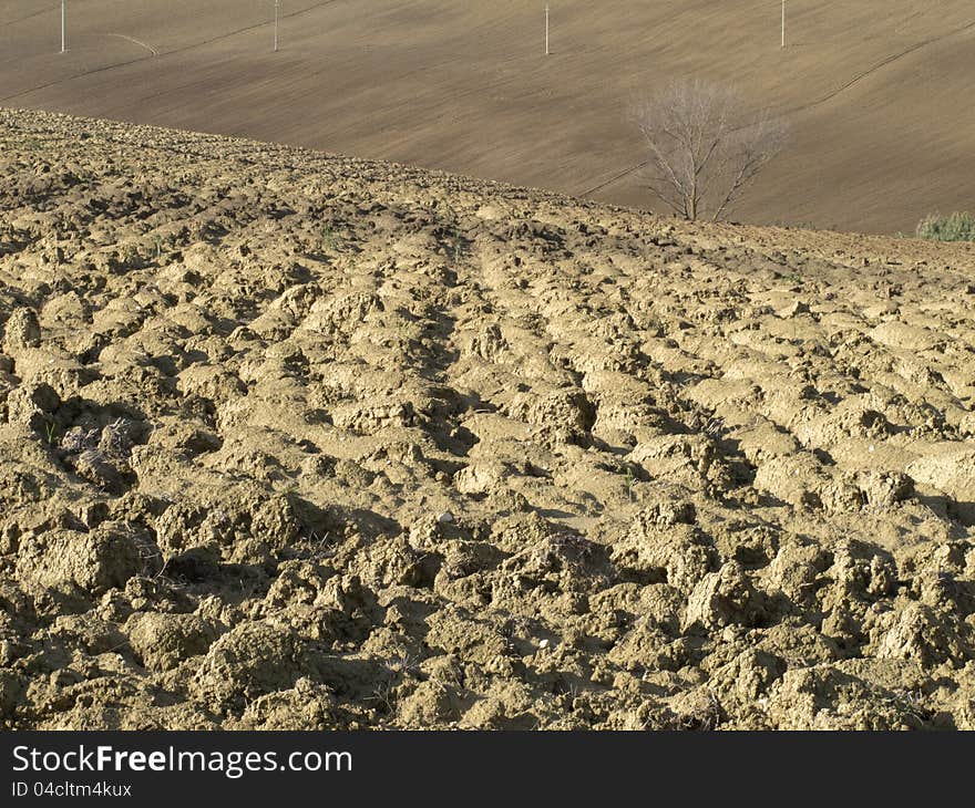 Agricultural land in val of Recanati. Marche region, Italy