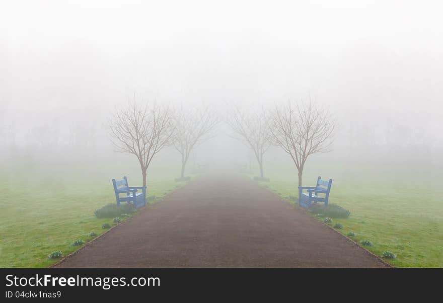 Misty benches at side of the footpath. Misty benches at side of the footpath