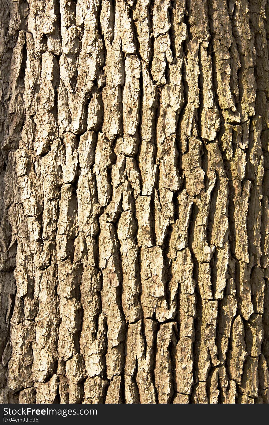 Wooden texture Brown and black