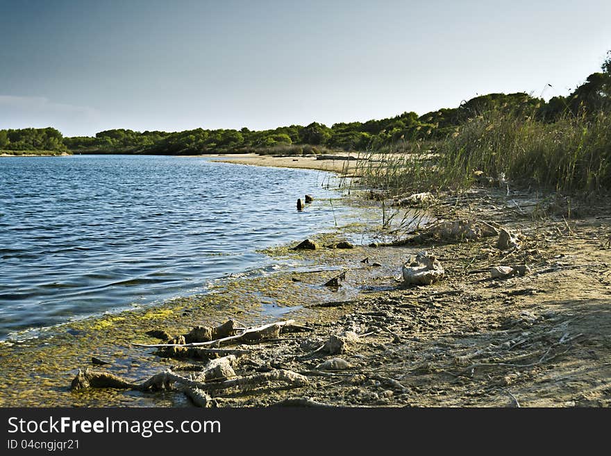 Lake Albufera