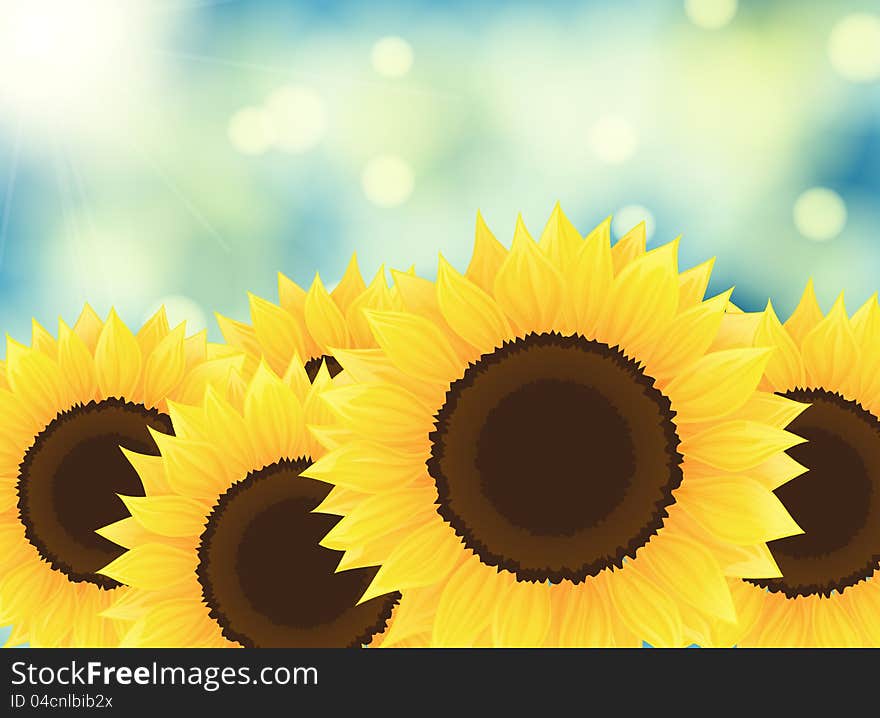 Beautiful sunflowers on bokeh background